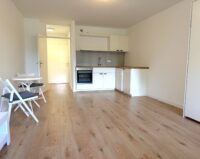 Wohnen/Schlafen/Küche